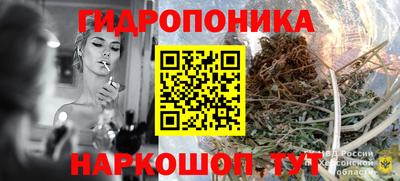 ешки Будённовск