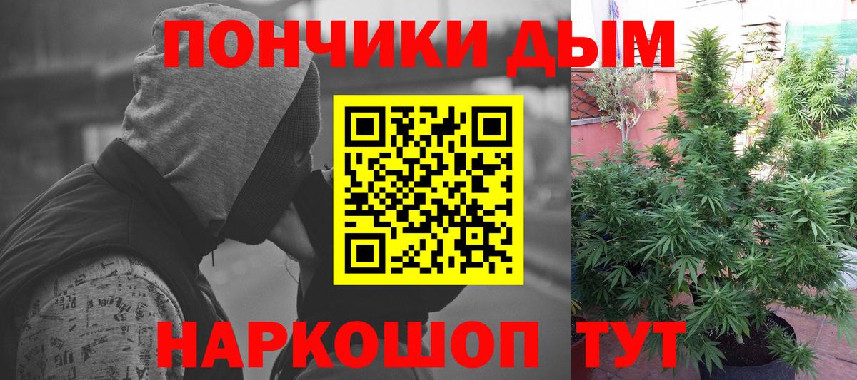 Канабис сатива  Конопля конопля  Великий Новгород  Вход с VPN  Бошки Шишки Ganja 